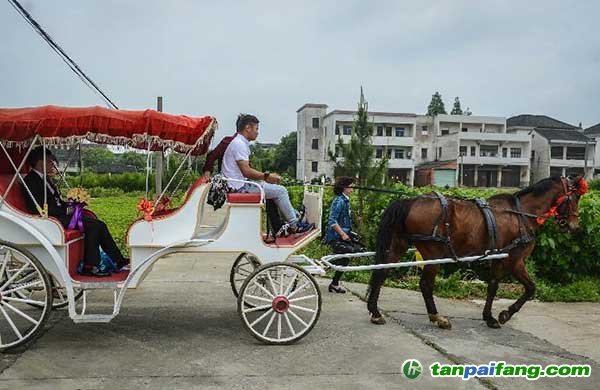 低碳婚禮 乘坐馬車(chē)去“娶親”