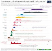 【數據】蛋白質的碳足跡：什么食品的溫室氣體排放最少？