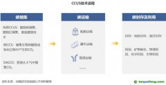 2022 年中國(guó)碳捕集、利用與封存（CCUS）洞察報(bào)告