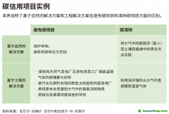 企業(yè)領(lǐng)導(dǎo)者為什么必須了解碳信用額？