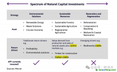 英國養(yǎng)老基金入局碳市場，投資自然類資產